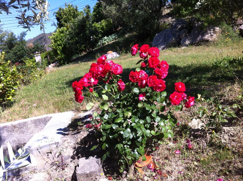 AL Vivenda Romantica Geres Gerês Exterior foto